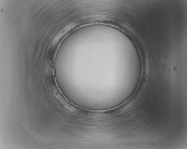 X0000051910873200507082027