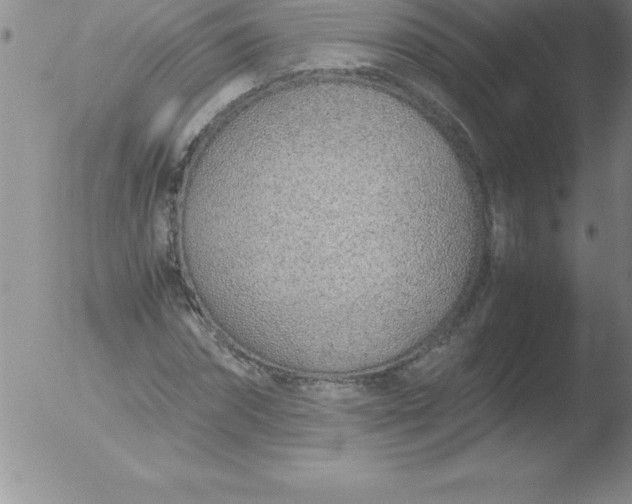 X0000051910874200507082027