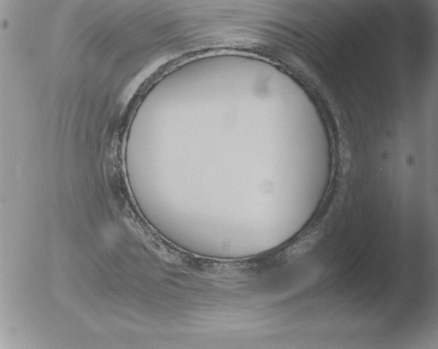 X0000051910875200507082027