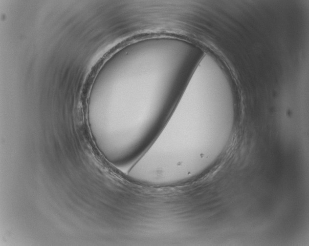 X0000051910876200507082027