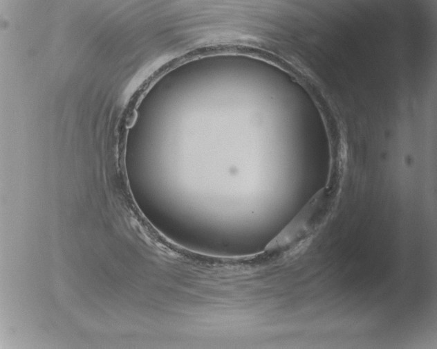 X0000051910877200507082027