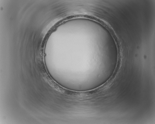 X0000051910879200507082027