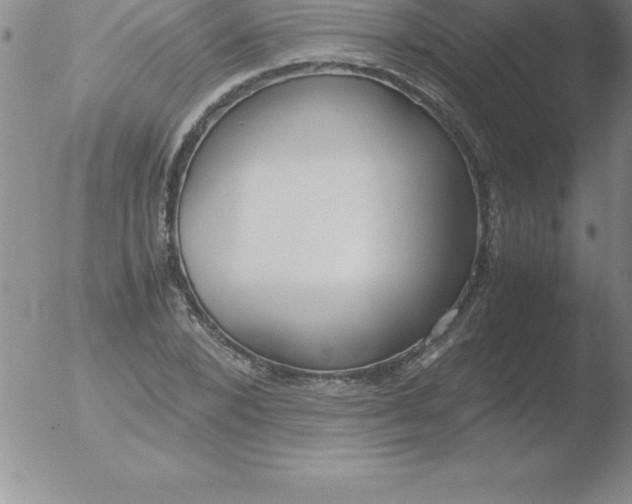 X0000051910880200507082027