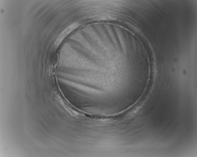 X0000051910881200507082027