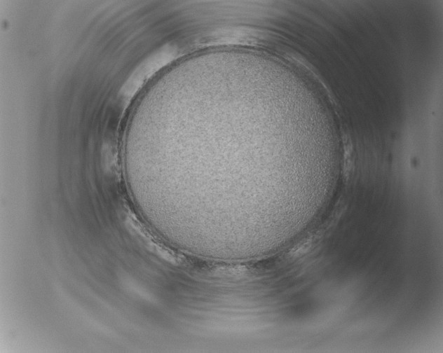 X0000051910882200507082027