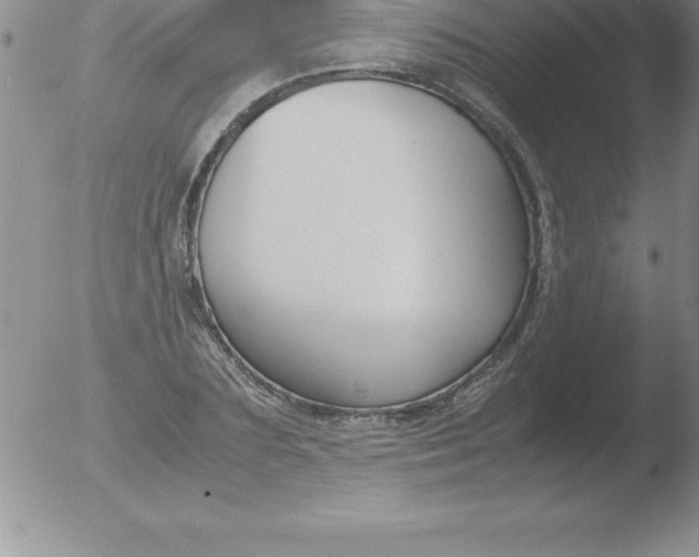 X0000051910883200507082027