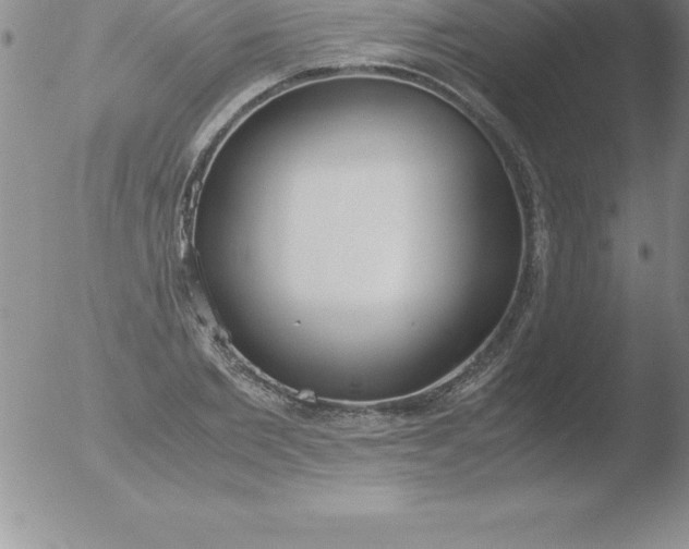 X0000051910885200507082027