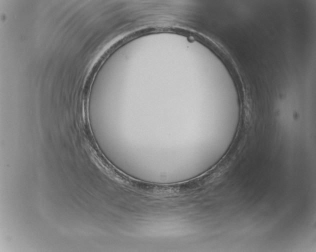 X0000051910887200507082027