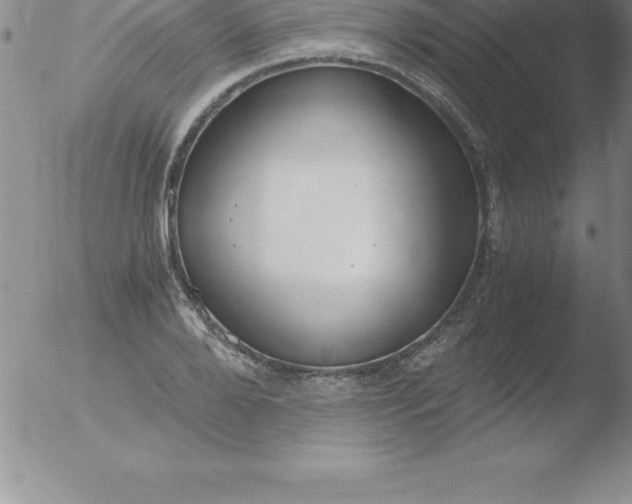 X0000051910888200507082027