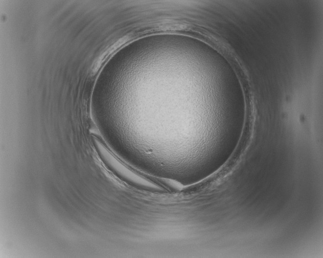 X0000051910889200507082027