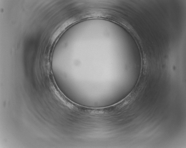 X0000051910890200507082027