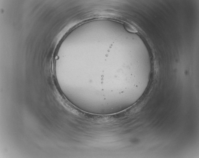 X0000051910891200507082026