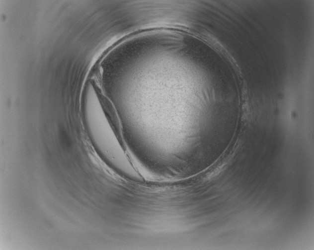 X0000051910892200507082026