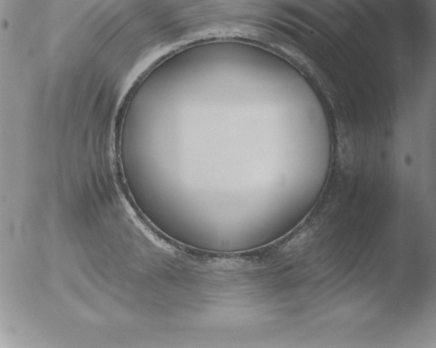 X0000051910894200507082026