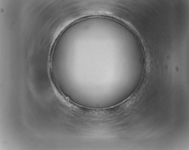 X0000051910895200507082026