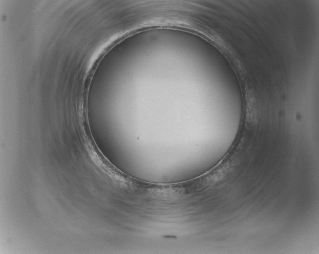 X0000051910896200507082026