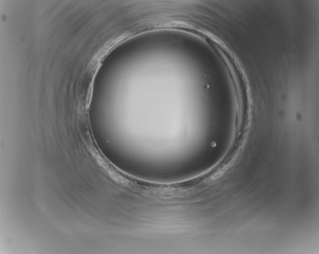 X0000051910897200507082026