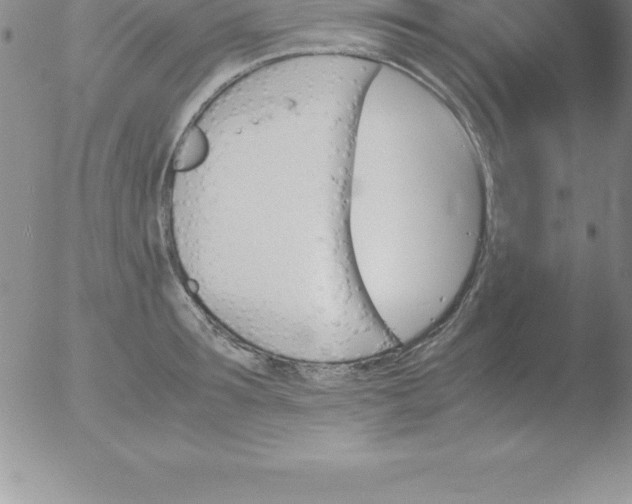 X0000051910899200507082026