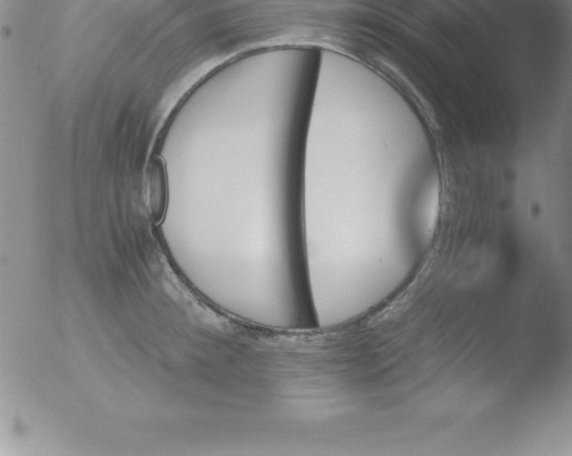 X0000051910900200507082026