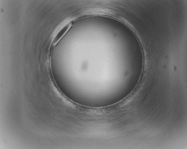 X0000051910901200507082026