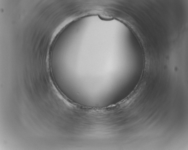 X0000051910902200507082026