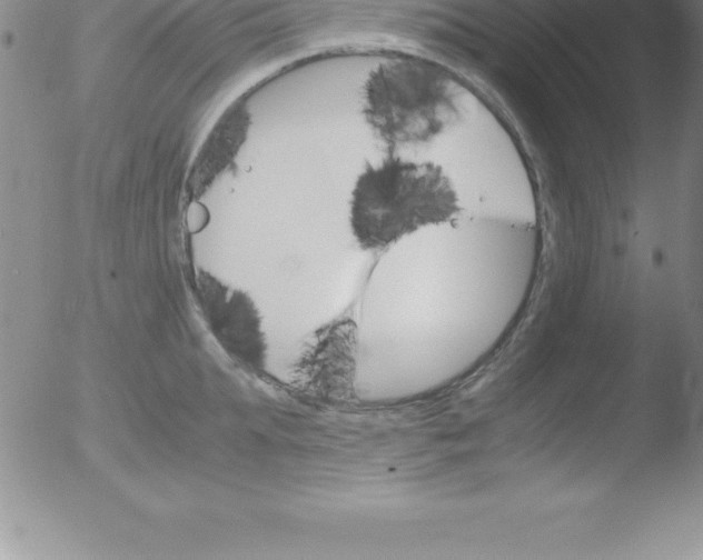 X0000051910903200507082026