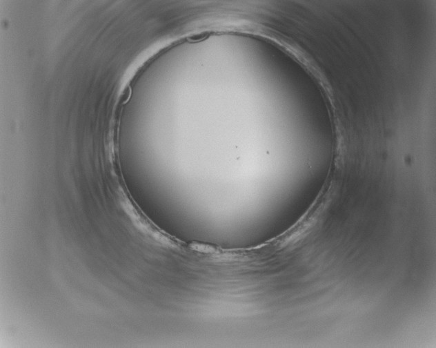 X0000051910904200507082026