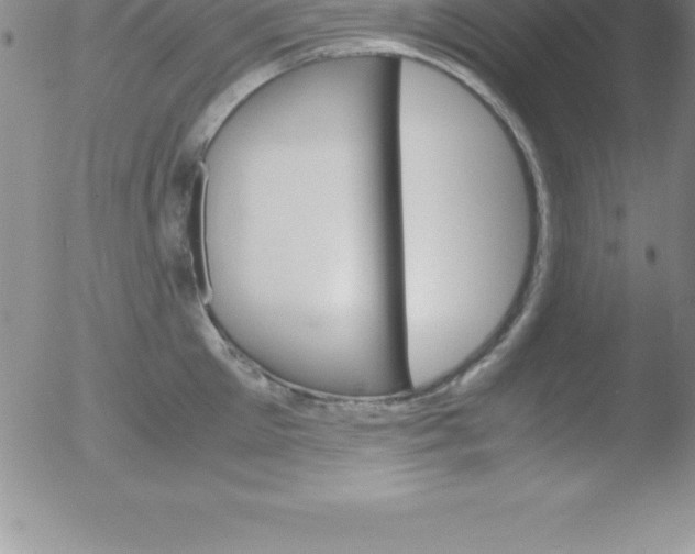 X0000051910905200507082026