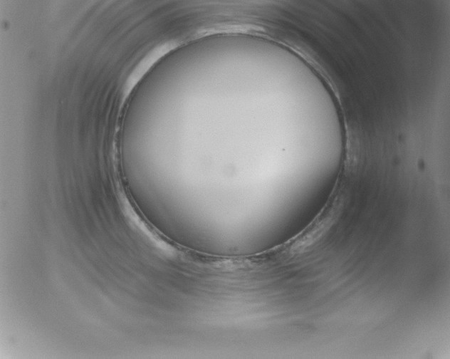 X0000051910906200507082026