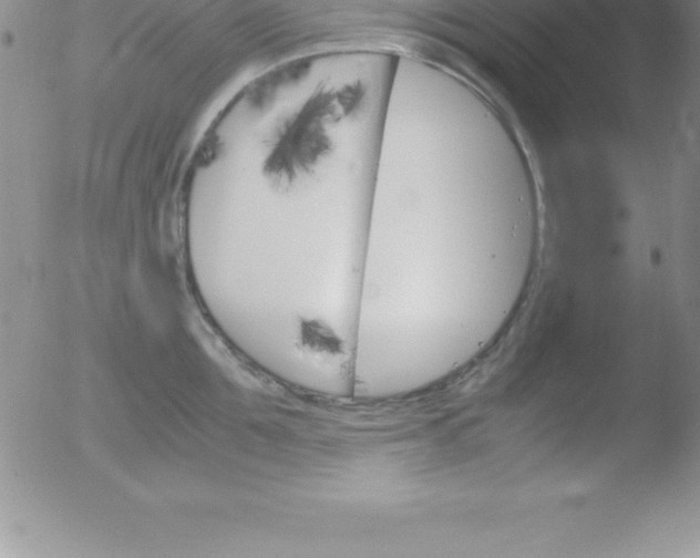 X0000051910907200507082026