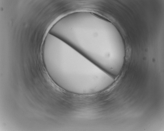 X0000051910908200507082026