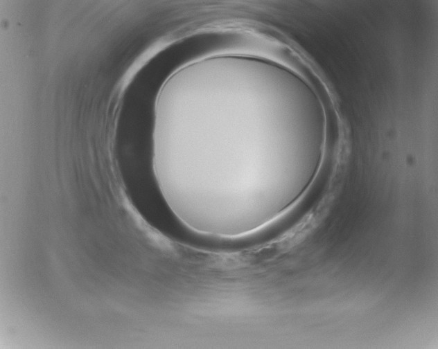 X0000051910909200507082026