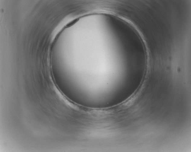 X0000051910910200507082026