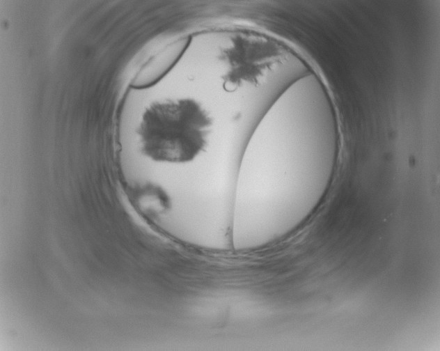 X0000051910911200507082026