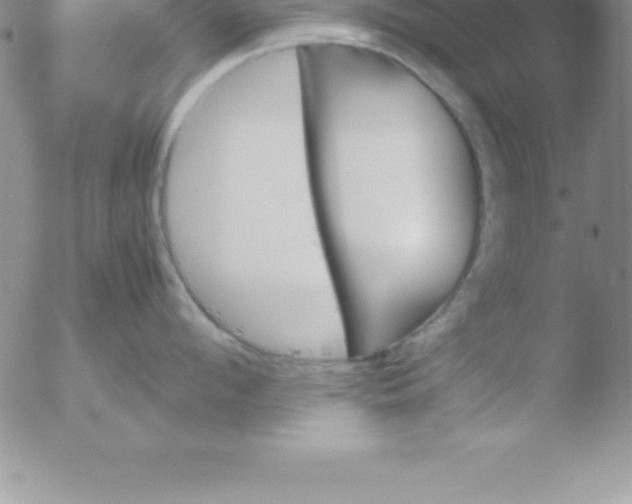 X0000051910912200507082026