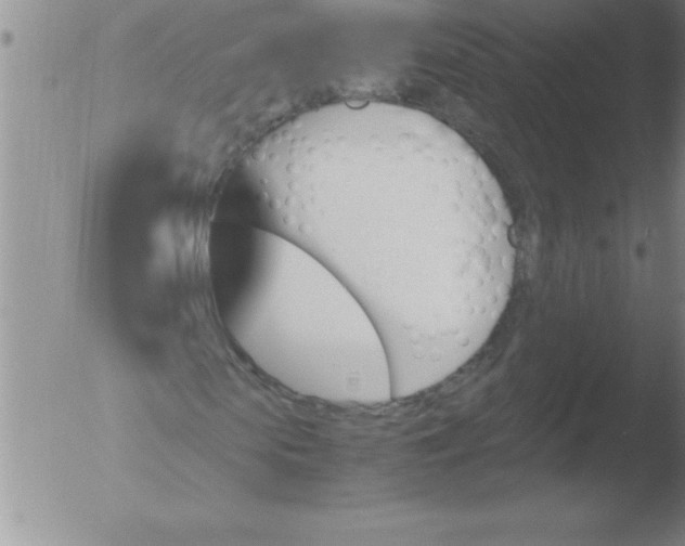 X0000051910913200507082025