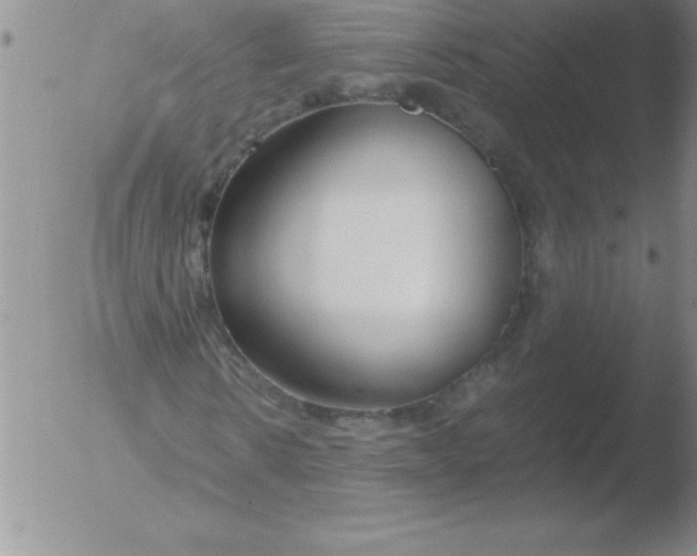 X0000051910914200507082025