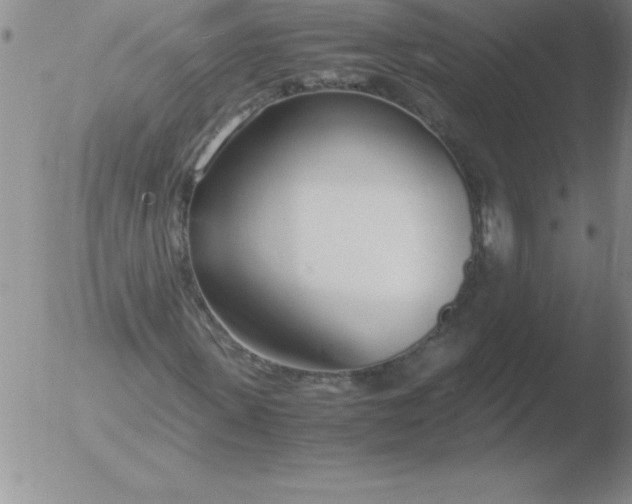 X0000051910915200507082025