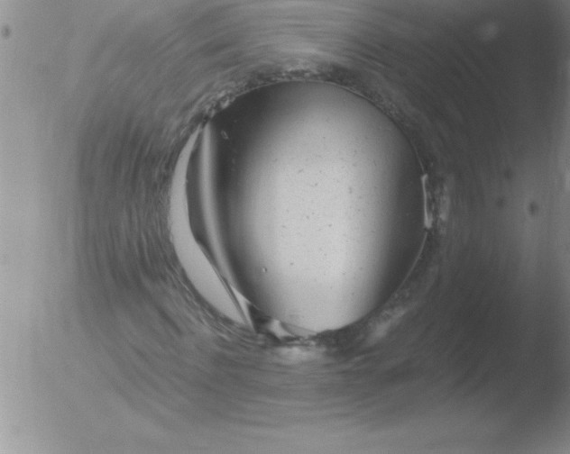 X0000051910916200507082025