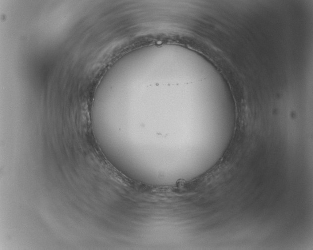 X0000051910918200507082025