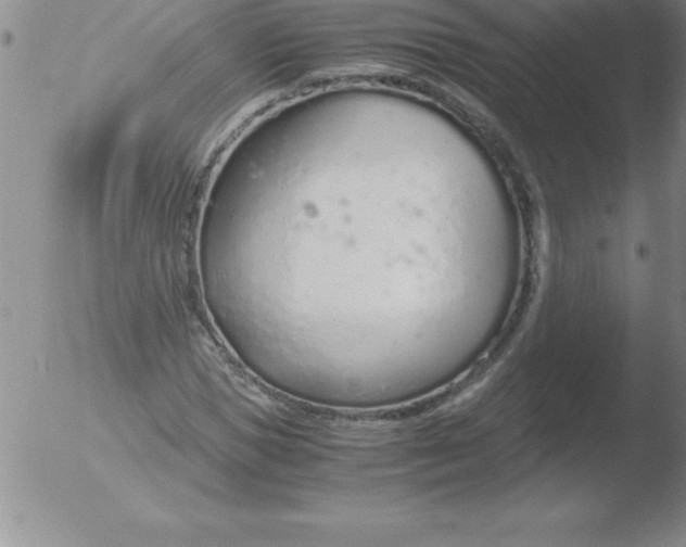 X0000051910921200507082025