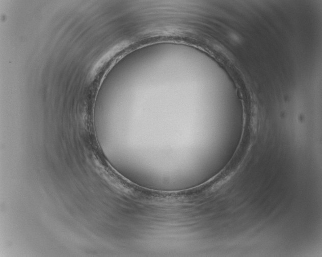 X0000051910922200507082025