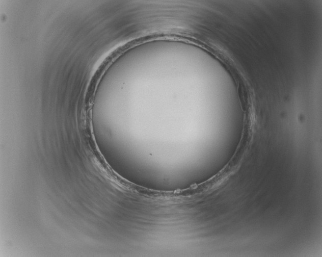 X0000051910924200507082026