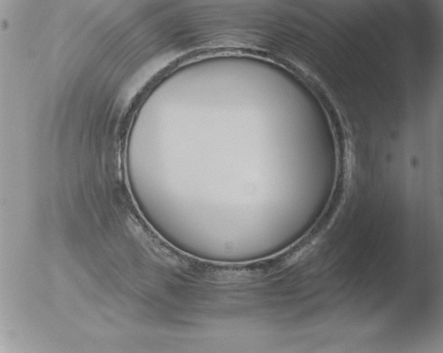 X0000051910925200507082026