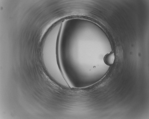 X0000051910926200507082026