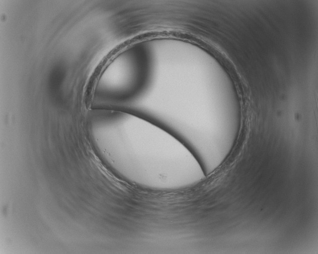 X0000051910927200507082026