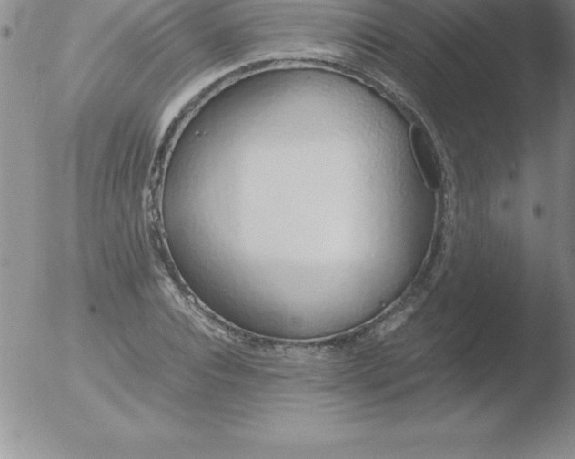 X0000051910928200507082026