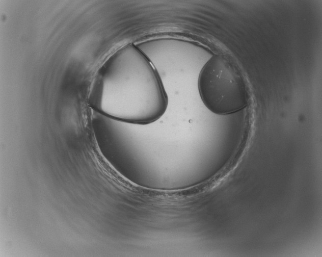 X0000051910929200507082026