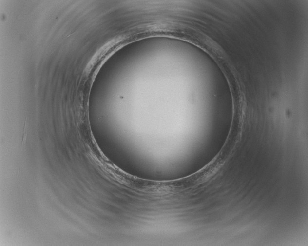 X0000051910930200507082026