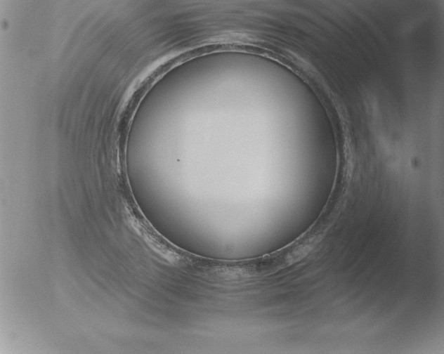 X0000051910931200507082026